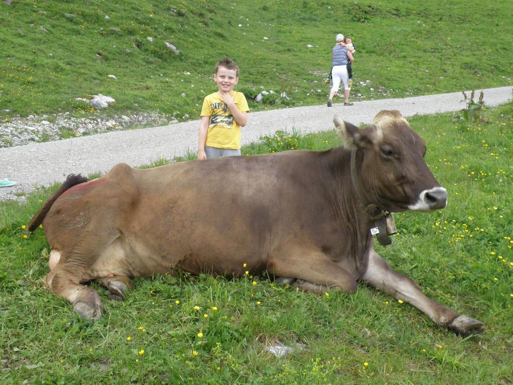 Ferienhaeuschen Kathrein * Ehenbichl